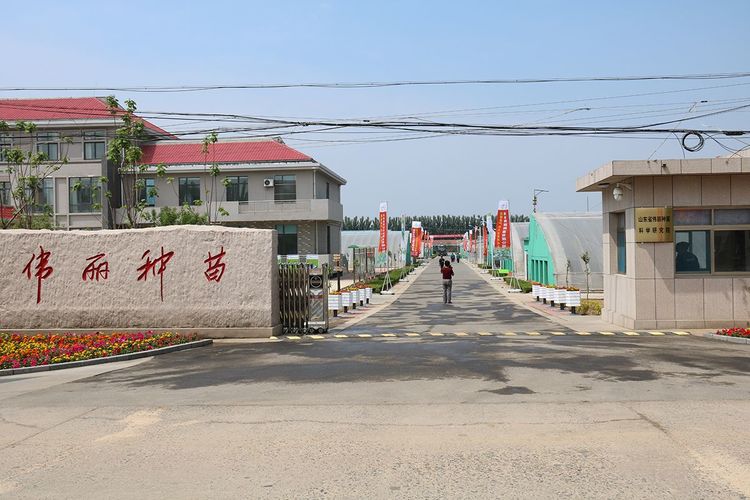 微信图片_20200428200013.jpg