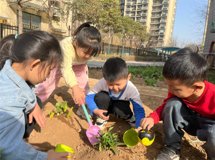 给植物松土.png