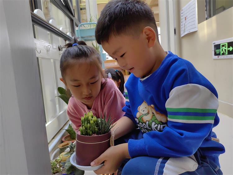 植物角观察.jpg